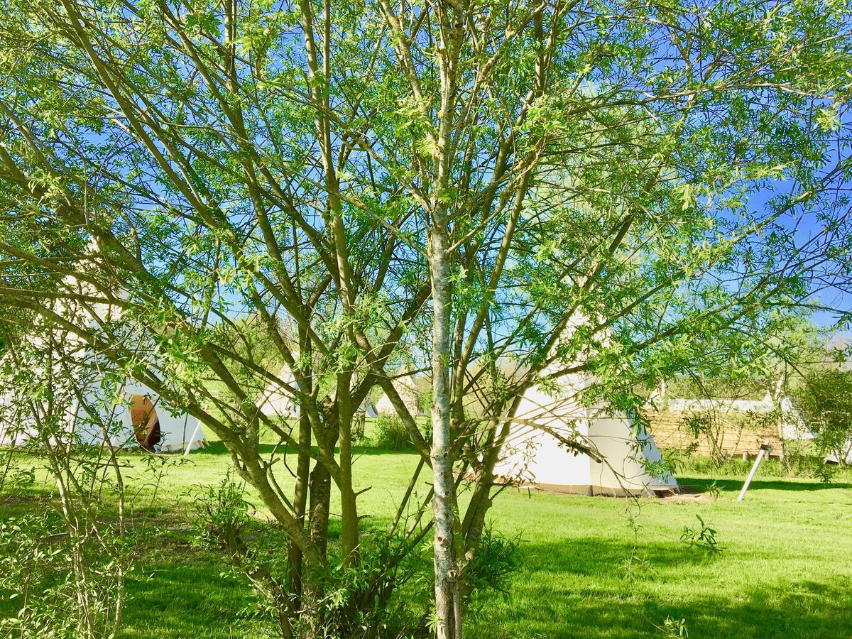 Les Tipis Du Bonheur De Vivre Hotel Brulon Luaran gambar
